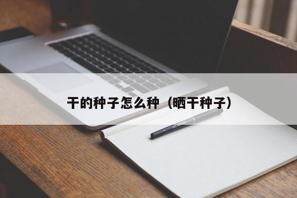 干的种子怎么种（晒干种子） 