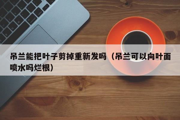 吊兰能把叶子剪掉重新发吗（吊兰可以向叶面喷水吗烂根） 