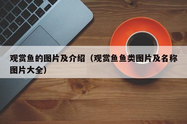 观赏鱼的图片及介绍（观赏鱼鱼类图片及名称图片大全） 