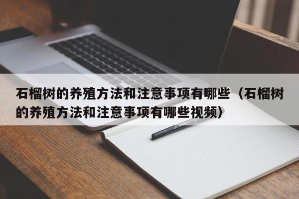 石榴树的养殖方法和注意事项有哪些（石榴树的养殖方法和注意事项有哪些视频） 