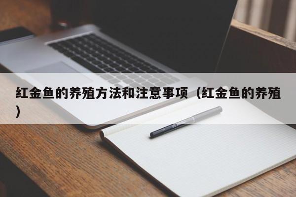 红金鱼的养殖方法和注意事项（红金鱼的养殖） 