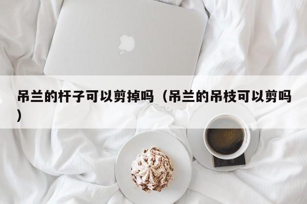 吊兰的杆子可以剪掉吗（吊兰的吊枝可以剪吗） 