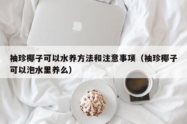 袖珍椰子可以水养方法和注意事项（袖珍椰子可以泡水里养么） 