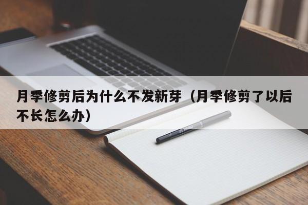 月季修剪后为什么不发新芽（月季修剪了以后不长怎么办） 