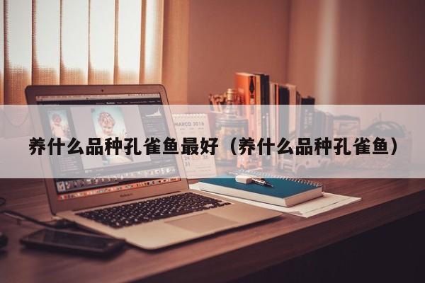 养什么品种孔雀鱼最好（养什么品种孔雀鱼） 