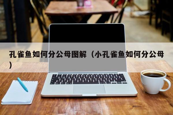 孔雀鱼如何分公母图解（小孔雀鱼如何分公母） 