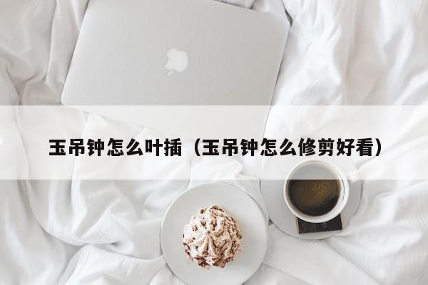 玉吊钟怎么叶插（玉吊钟怎么修剪好看） 