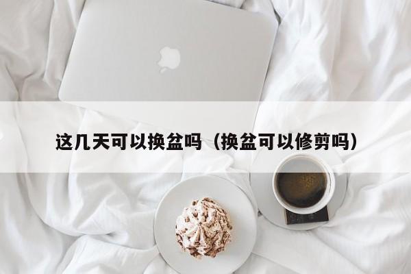 这几天可以换盆吗（换盆可以修剪吗） 