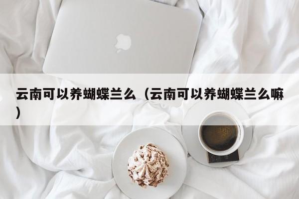 云南可以养蝴蝶兰么（云南可以养蝴蝶兰么嘛） 