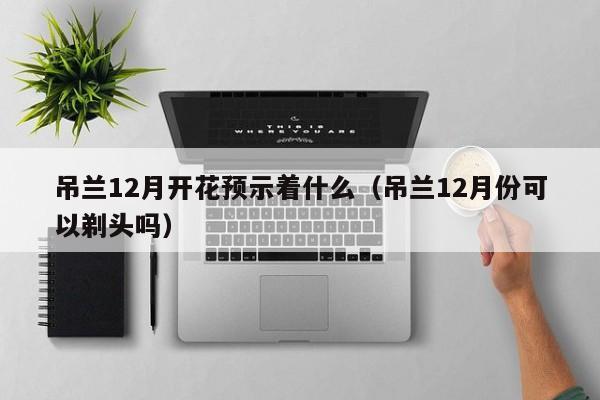 吊兰12月开花预示着什么（吊兰12月份可以剃头吗） 