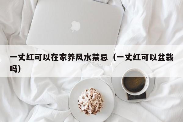 一丈红可以在家养风水禁忌（一丈红可以盆栽吗） 