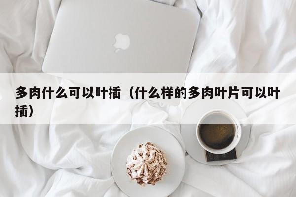 多肉什么可以叶插（什么样的多肉叶片可以叶插） 