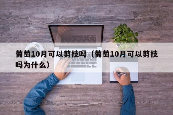 葡萄10月可以剪枝吗（葡萄10月可以剪枝吗为什么） 