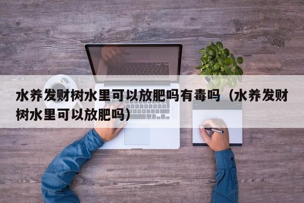 水养发财树水里可以放肥吗有毒吗（水养发财树水里可以放肥吗） 