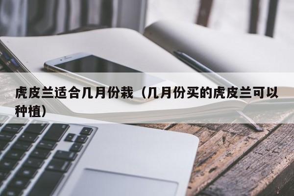 虎皮兰适合几月份栽（几月份买的虎皮兰可以种植） 