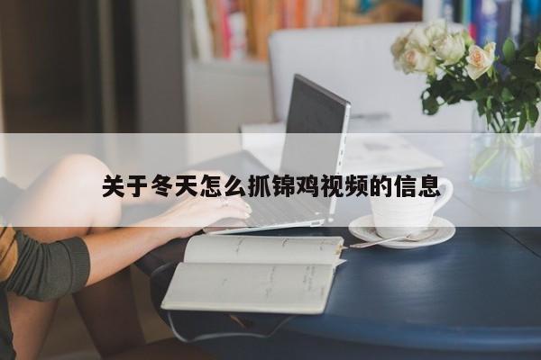 关于冬天怎么抓锦鸡视频的信息 