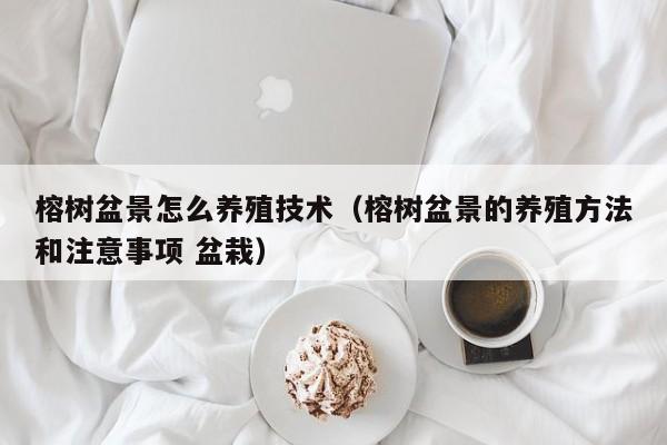 榕树盆景怎么养殖技术（榕树盆景的养殖方法和注意事项 盆栽） 