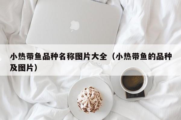 小热带鱼品种名称图片大全（小热带鱼的品种及图片） 