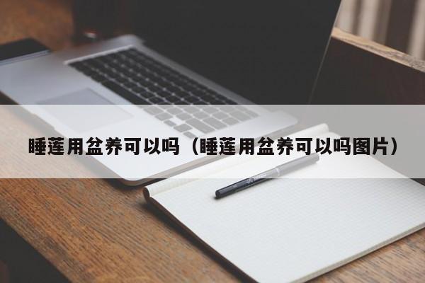 睡莲用盆养可以吗（睡莲用盆养可以吗图片） 