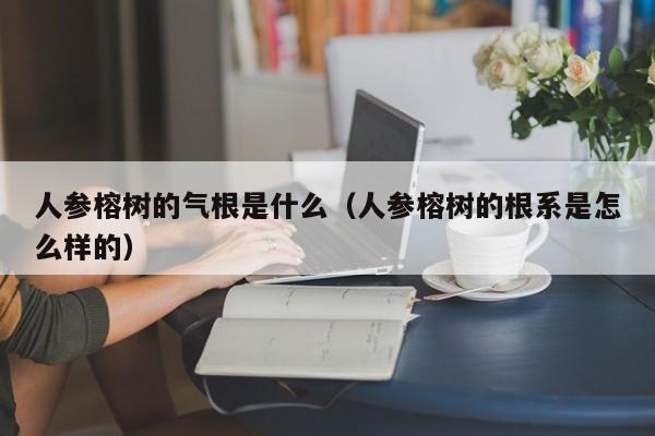 人参榕树的气根是什么（人参榕树的根系是怎么样的） 