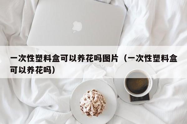 一次性塑料盒可以养花吗图片（一次性塑料盒可以养花吗） 