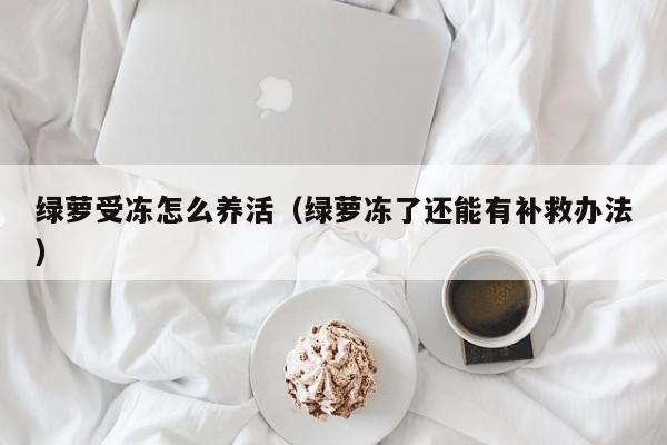 绿萝受冻怎么养活（绿萝冻了还能有补救办法） 