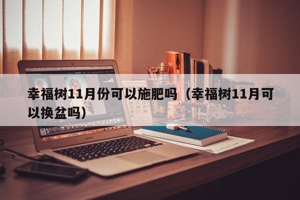 幸福树11月份可以施肥吗（幸福树11月可以换盆吗） 