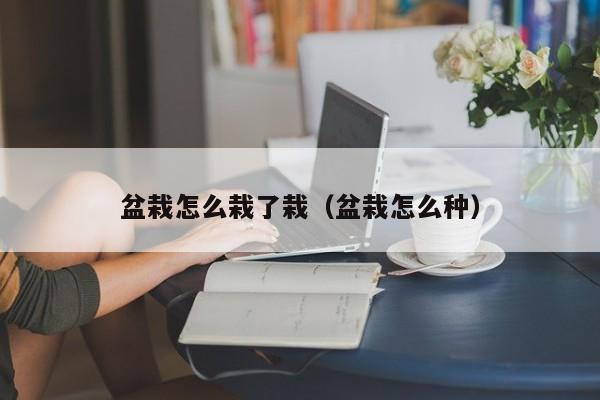 盆栽怎么栽了栽（盆栽怎么种） 