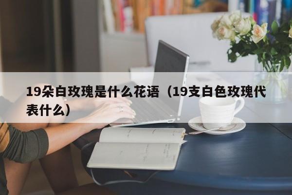 19朵白玫瑰是什么花语（19支白色玫瑰代表什么） 