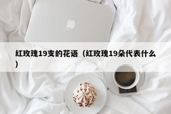 红玫瑰19支的花语（红玫瑰19朵代表什么） 