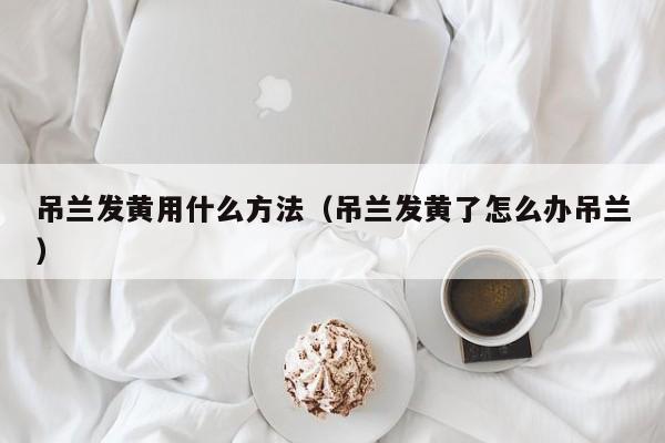 吊兰发黄用什么方法（吊兰发黄了怎么办吊兰） 