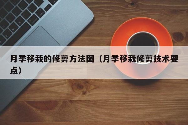 月季移栽的修剪方法图（月季移栽修剪技术要点） 