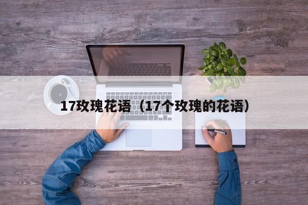 17玫瑰花语（17个玫瑰的花语） 