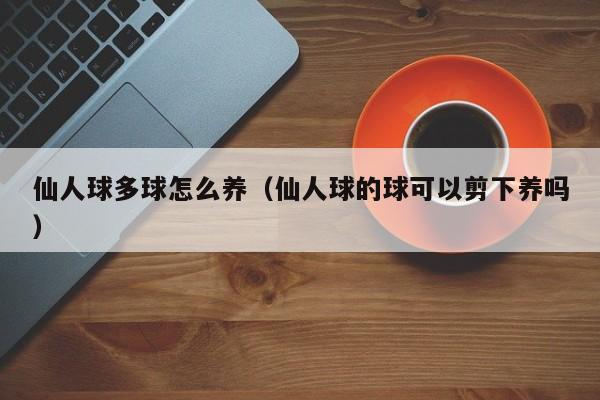 仙人球多球怎么养（仙人球的球可以剪下养吗） 