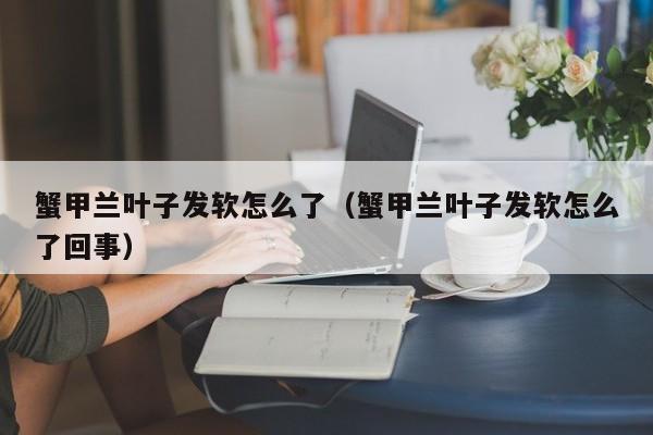 蟹甲兰叶子发软怎么了（蟹甲兰叶子发软怎么了回事） 