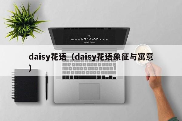 daisy花语（daisy花语象征与寓意） 