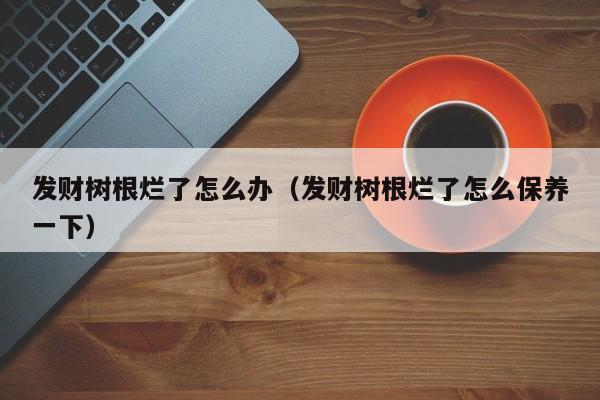 发财树根烂了怎么办（发财树根烂了怎么保养一下） 