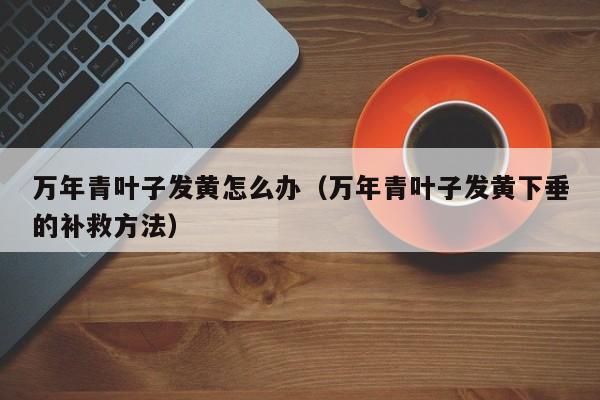 万年青叶子发黄怎么办（万年青叶子发黄下垂的补救方法） 