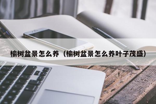 榆树盆景怎么养（榆树盆景怎么养叶子茂盛） 