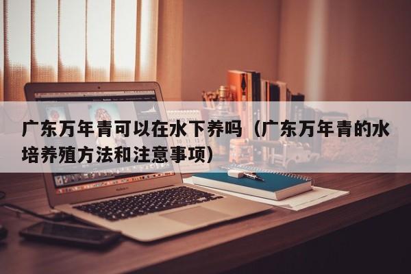 广东万年青可以在水下养吗（广东万年青的水培养殖方法和注意事项） 